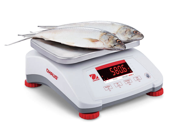 Ohaus 30035437 Valor 4000 Compact Bench Scale 30 x 0.005 lb Legal for Trade 30 x 0.01 lb