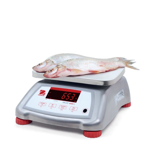 Ohaus 30035445 Valor 4000 Compact Bench Scale 6 x 0.001 lb and Legal for Trade 6 x 0.002 lb