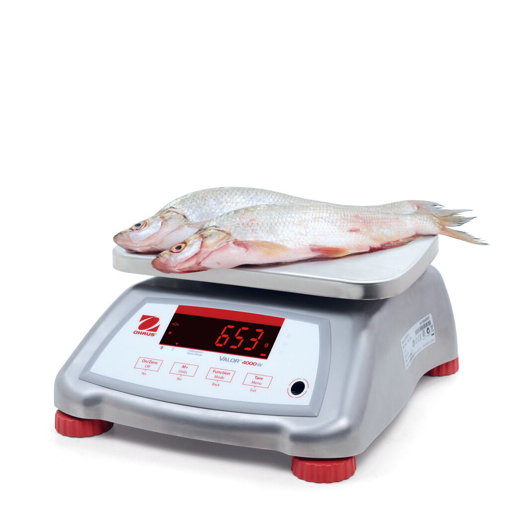 Ohaus 30035446 Valor 4000 Compact Bench Scale 15 x 0.002 lb and Legal for Trade 15 x 0.005 lb